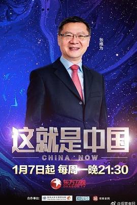 国内精品伊人久久久久影院对白